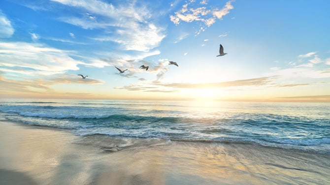 Winter Activities Near South Padre Island