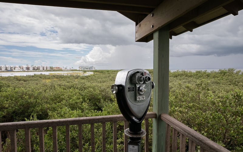 A coin operated binoculars is sitting on a balcony overlooking a forest.