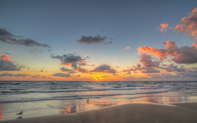 A sunset over the ocean with a bird on the beach.